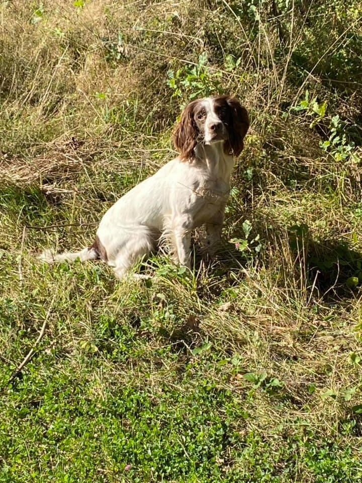 De Beauchezal - Field de Durance