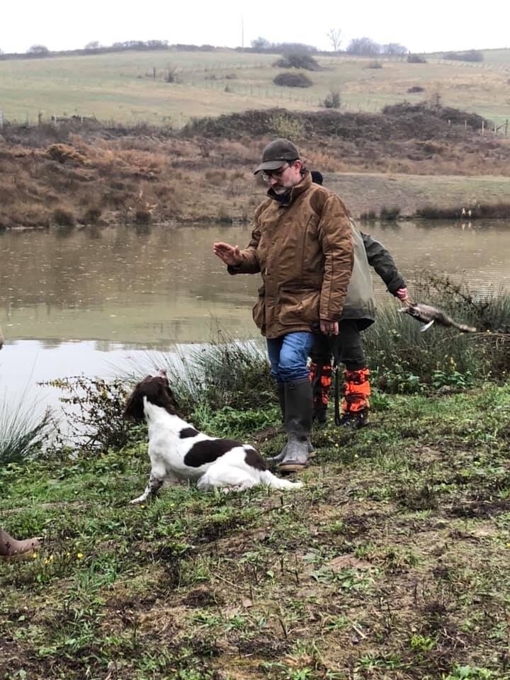 De Beauchezal - Coupe de France Spaniel 2018