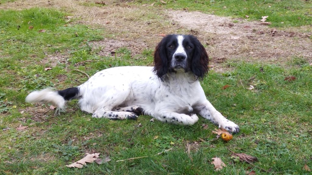 Amidala De Beauchezal