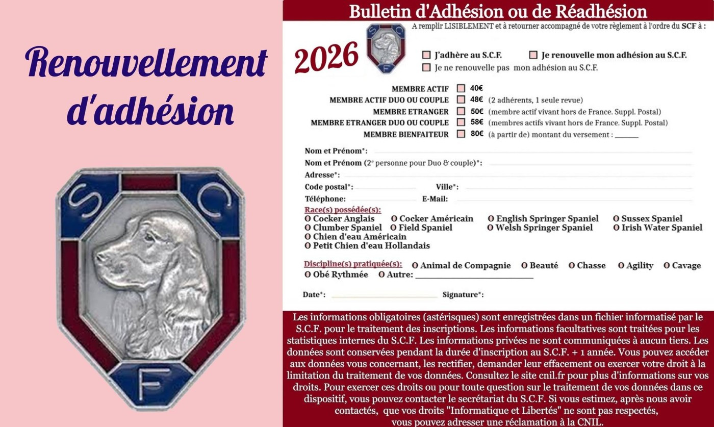 Spaniel Club Français